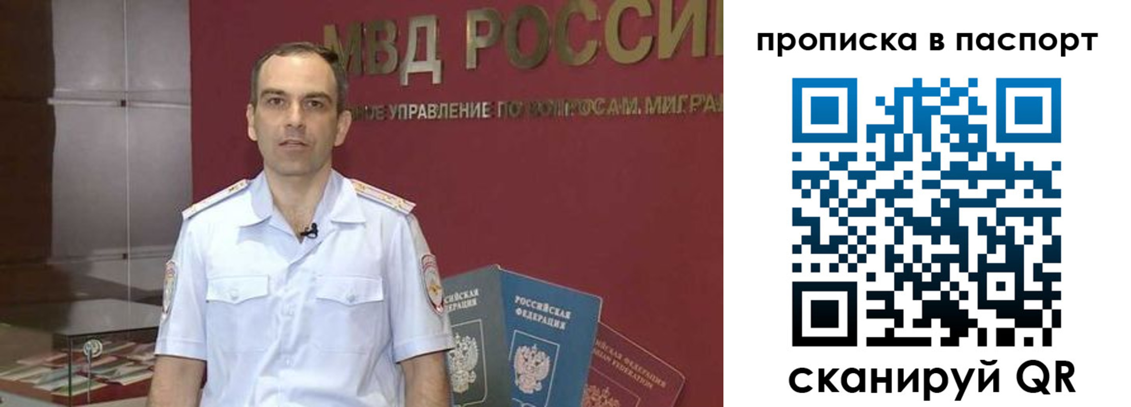 прописка поиск в Павловском Посаде